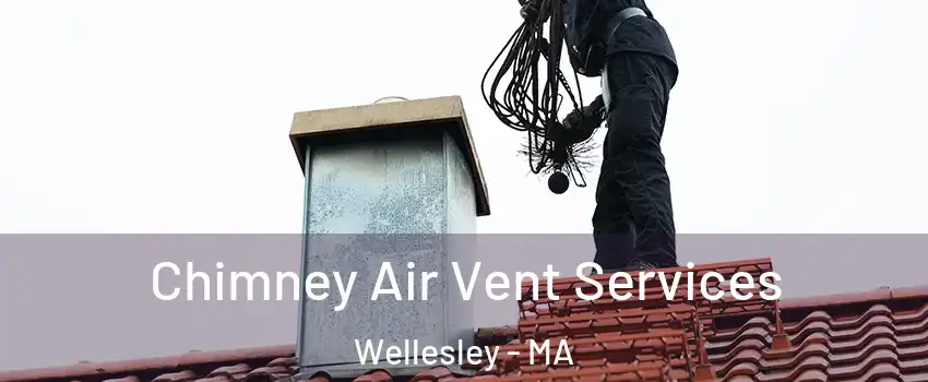  Chimney Air Vent Services Wellesley - MA