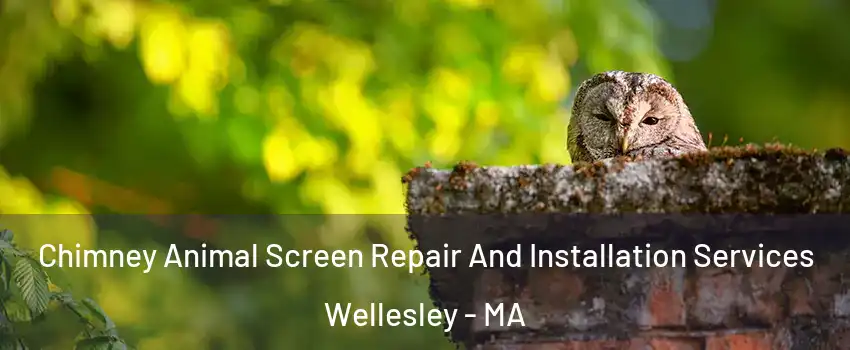  Chimney Animal Screen Repair And Installation Services Wellesley - MA