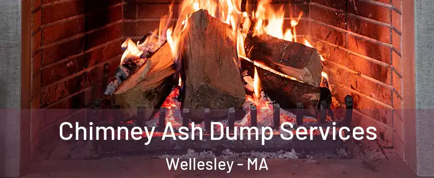  Chimney Ash Dump Services Wellesley - MA