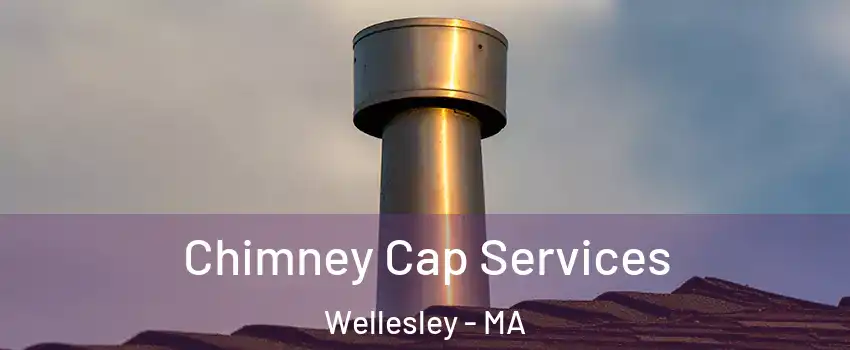  Chimney Cap Services Wellesley - MA