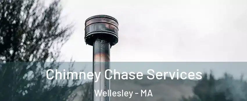  Chimney Chase Services Wellesley - MA