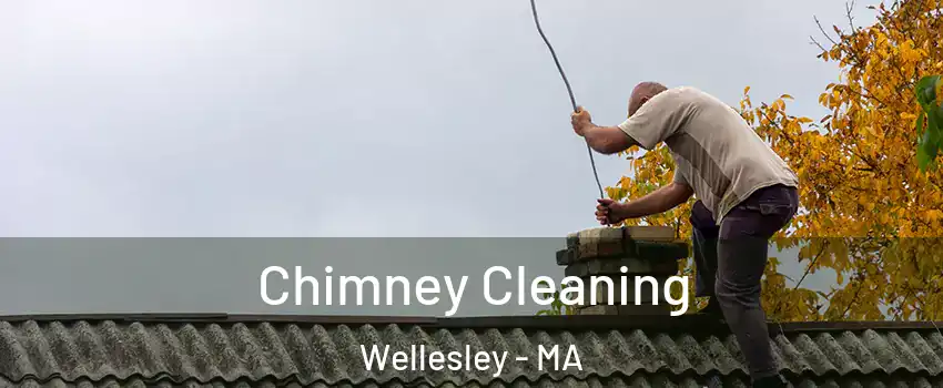  Chimney Cleaning Wellesley - MA