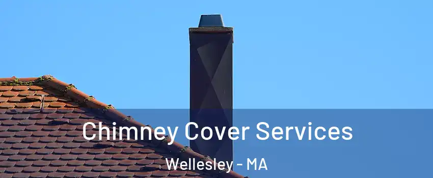  Chimney Cover Services Wellesley - MA