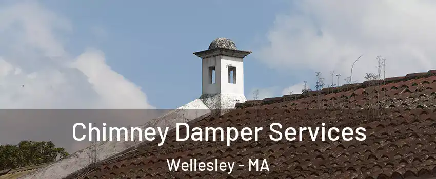  Chimney Damper Services Wellesley - MA