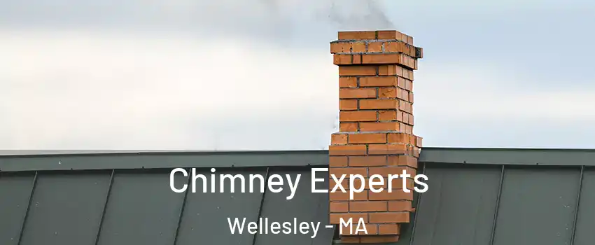 Chimney Experts Wellesley - MA