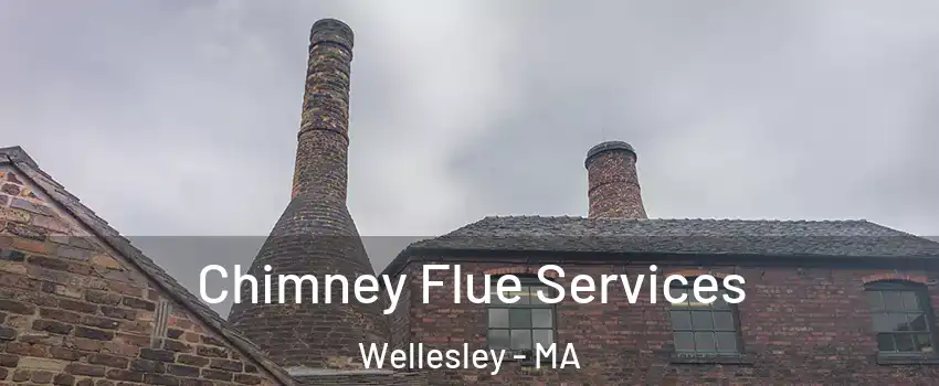  Chimney Flue Services Wellesley - MA