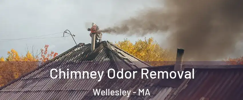  Chimney Odor Removal Wellesley - MA