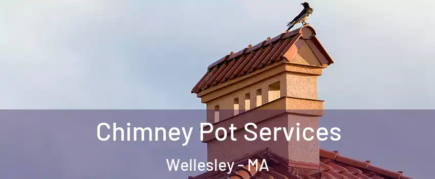  Chimney Pot Services Wellesley - MA