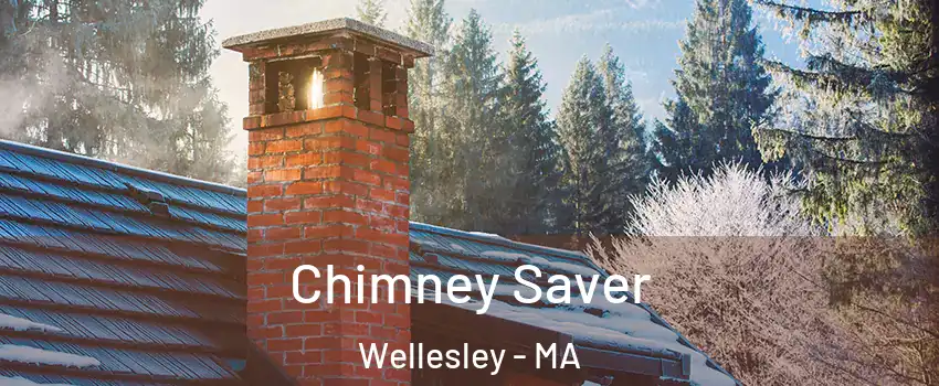  Chimney Saver Wellesley - MA