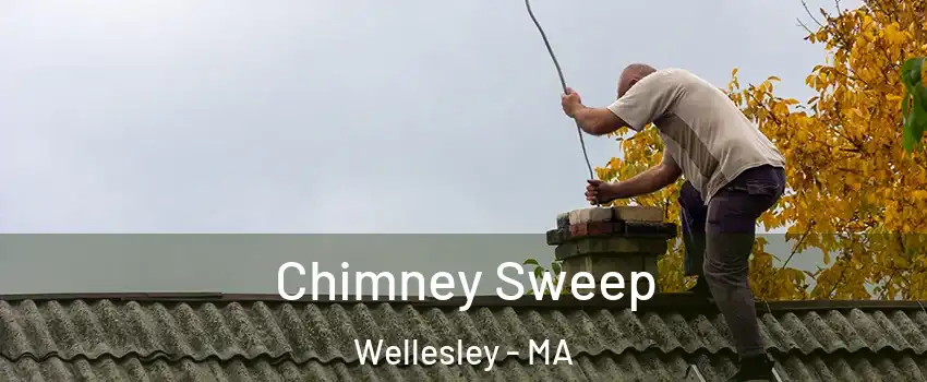  Chimney Sweep Wellesley - MA