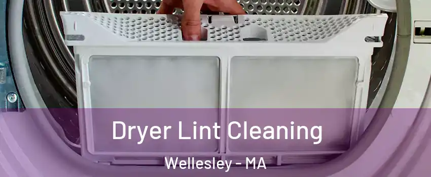 Dryer Lint Cleaning Wellesley - MA