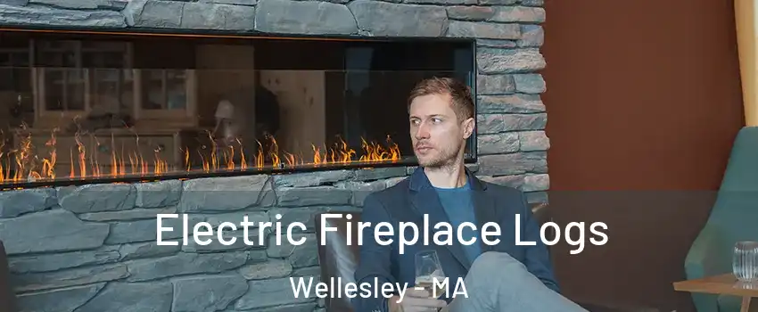  Electric Fireplace Logs Wellesley - MA