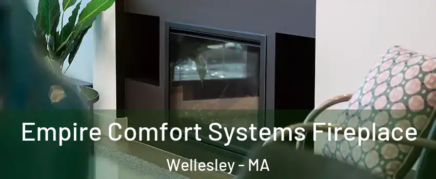  Empire Comfort Systems Fireplace Wellesley - MA