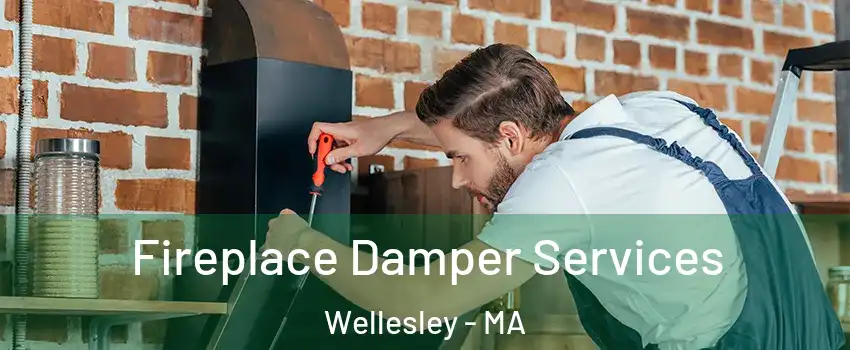  Fireplace Damper Services Wellesley - MA