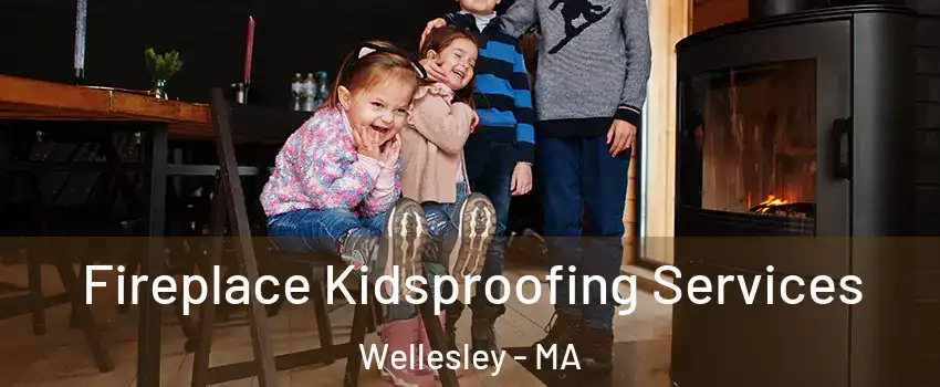  Fireplace Kidsproofing Services Wellesley - MA