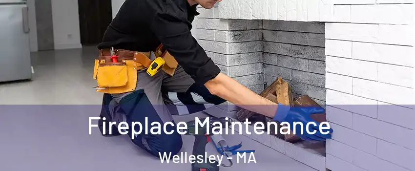  Fireplace Maintenance Wellesley - MA