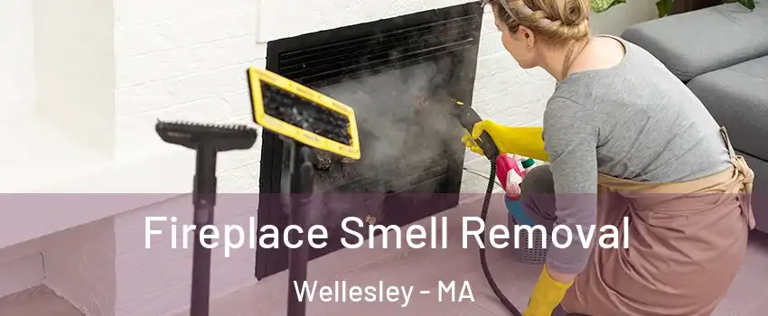  Fireplace Smell Removal Wellesley - MA