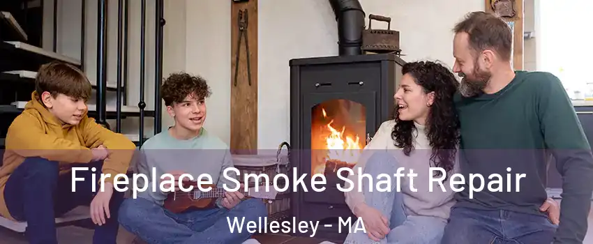  Fireplace Smoke Shaft Repair Wellesley - MA
