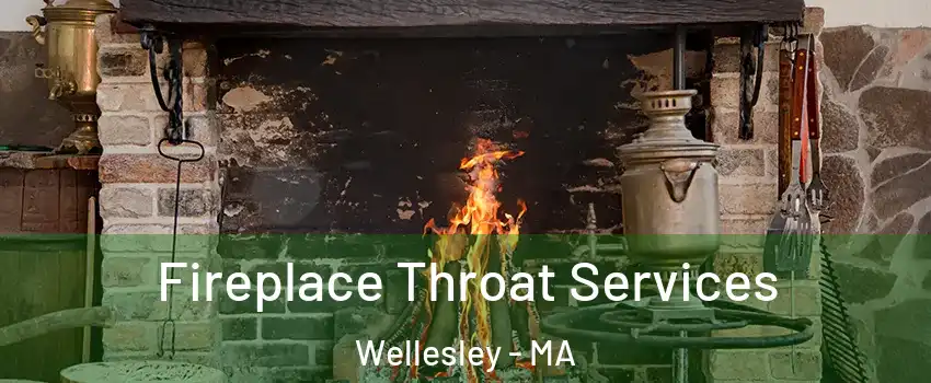  Fireplace Throat Services Wellesley - MA