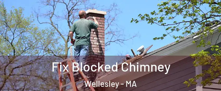  Fix Blocked Chimney Wellesley - MA