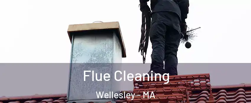  Flue Cleaning Wellesley - MA