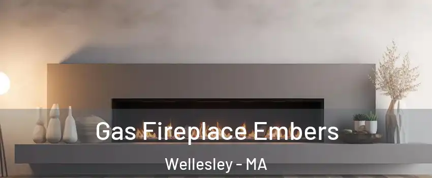  Gas Fireplace Embers Wellesley - MA