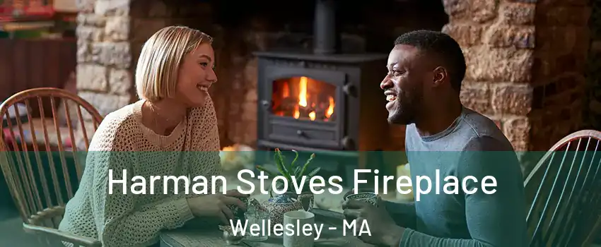  Harman Stoves Fireplace Wellesley - MA