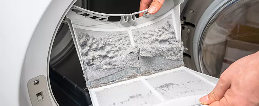 Best Dryer Lint Removal Company in Wellesley, Massachusetts