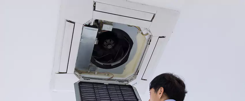 Benefits of Professional Air Duct Cleaning in Wellesley, Massachusetts