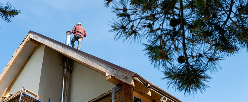 Birds Removal Contractors from Chimney in Wellesley, MA