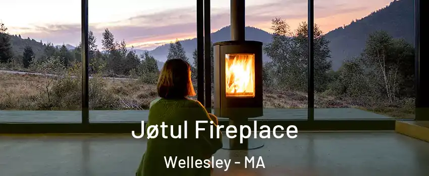  Jøtul Fireplace Wellesley - MA