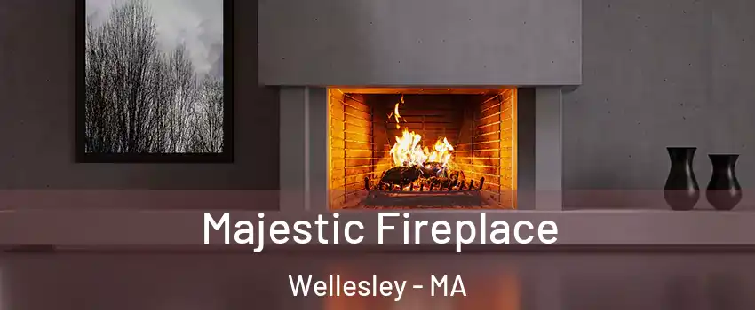  Majestic Fireplace Wellesley - MA
