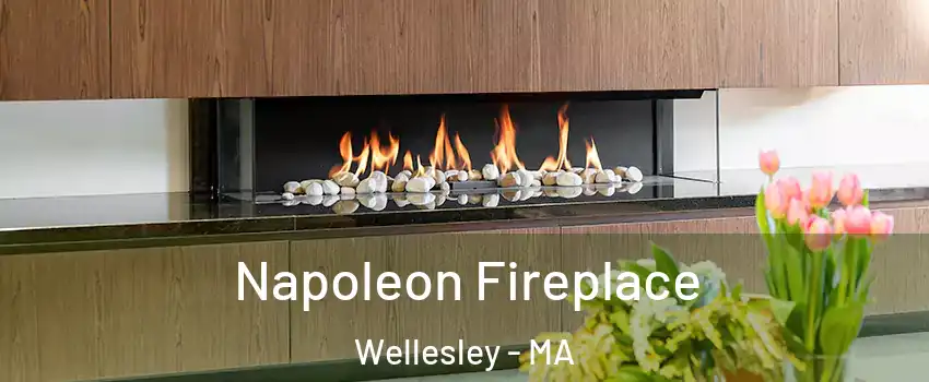  Napoleon Fireplace Wellesley - MA