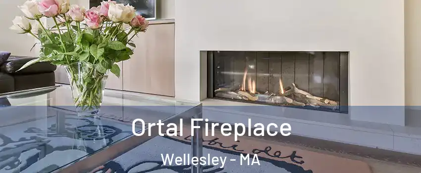 Ortal Fireplace Wellesley - MA