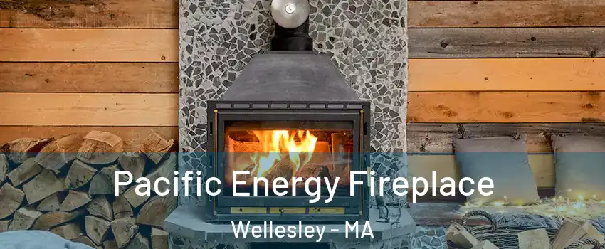  Pacific Energy Fireplace Wellesley - MA